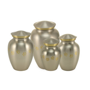 2896 Classic Paws Pewter Ensemble