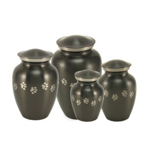 2897 Classic Paws Slate Ensemble