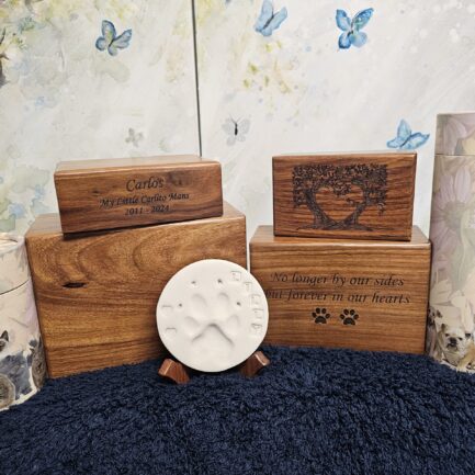 9085713613754518069 9085713613754518069