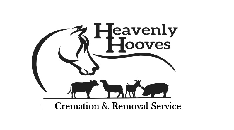 Heavenly Hooves Heavenly Hooves